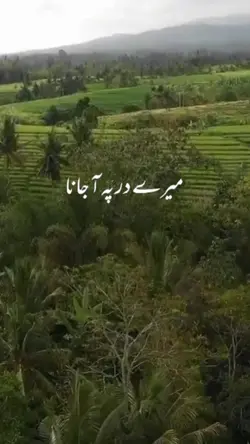 islamic video