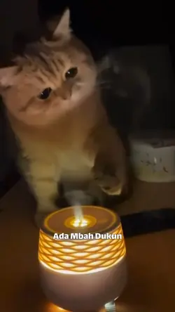 Mbah Dukun
