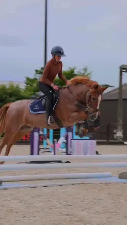 horse ridin