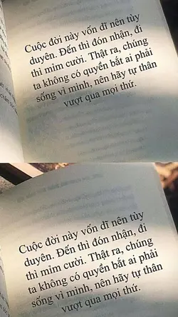 1 ảnh sau 