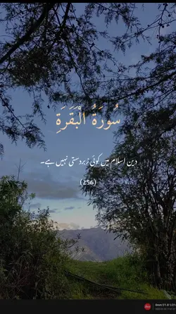 سورۃ البقرہ 256