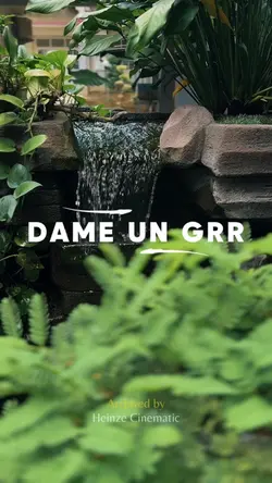 Dame Un Grr Cinematc