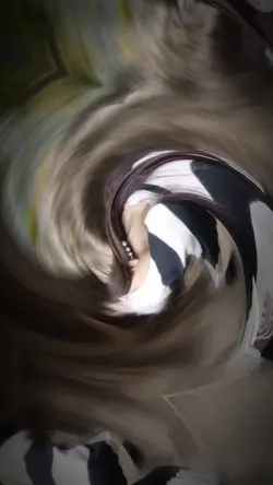 best hmoob