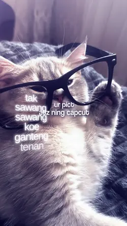 JJ LIRIK NGAMEN 5