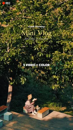 Mini vlog