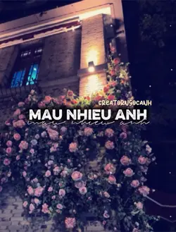 mẫu xinhh