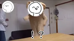 お前めっちゃ良いやつやん