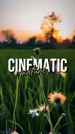 CINEMATIC NATURE