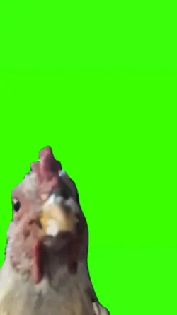 Chicken Phone Call
