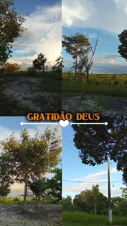 gratidão Deus
