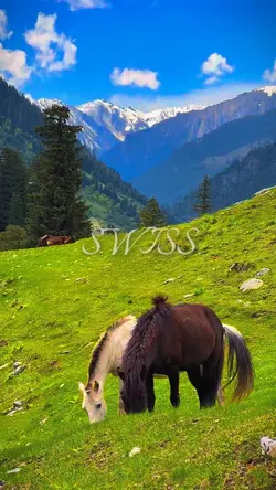 SWISS