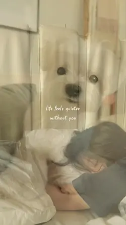 I Miss You My Pets