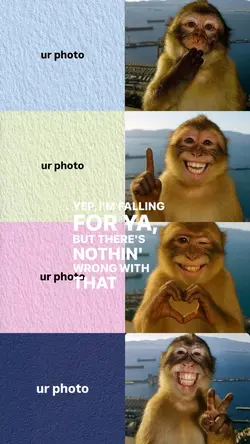 trend pose monkey