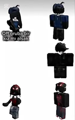 Robox dizisi