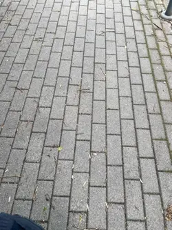 Denk immer dran