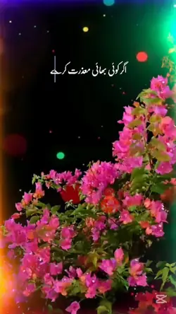 Zafar Jani 
