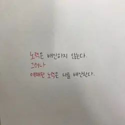공부자극 템플릿🧐