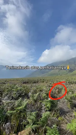 Perhatikan Lingkaran