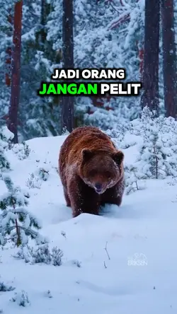 Jangan Pelit