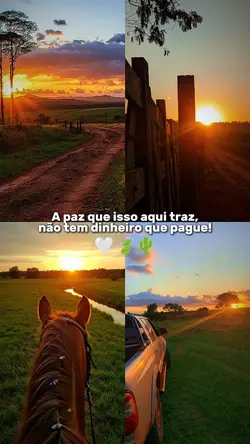 Paz