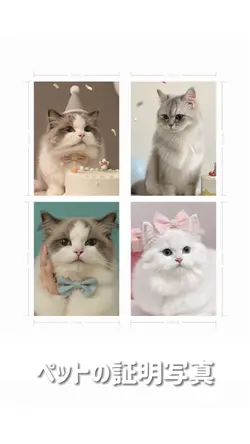 ペットの証明写真