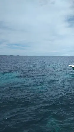 MARINER! 