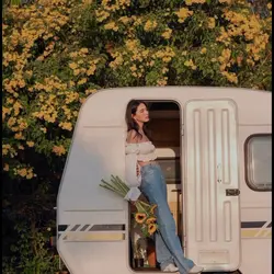 wings by birdy