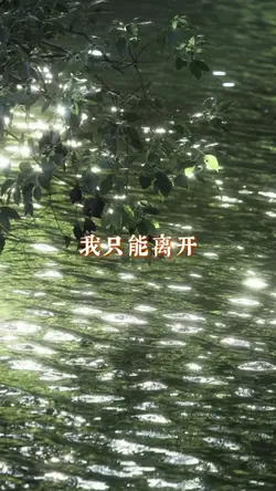 我只能离开.