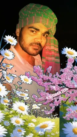 সুখের পাখিরে 