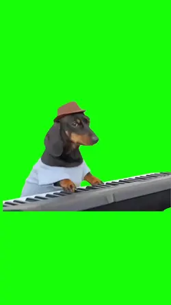 Dog playing piano