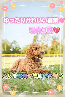 ゆったりかわいい　写真3枚