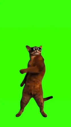 Guap Dancing Cat