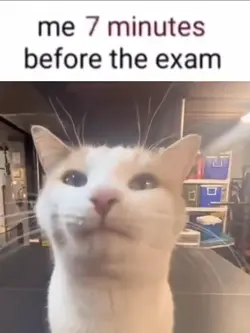 Before the exam
