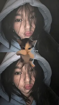 nomir versi kucing