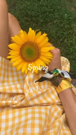 Spring