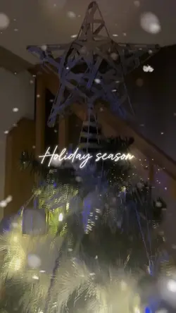 Holiday season 