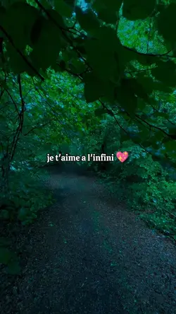 je t'aime 
