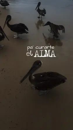 Vamos pa la playa