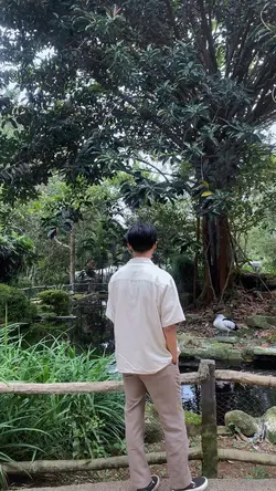 Zoo 