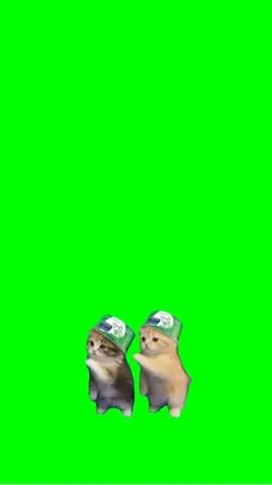 Brazil Dance 