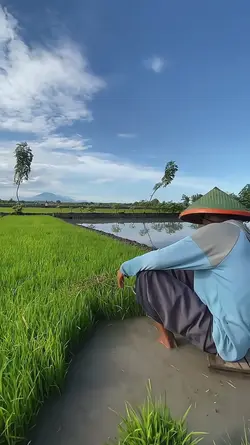 menangis tak berair