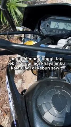kebun sawit