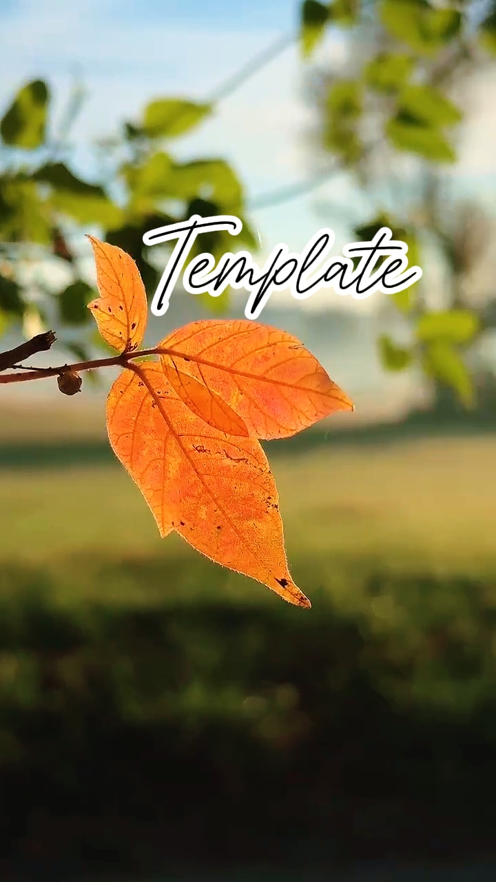 capcut template cover