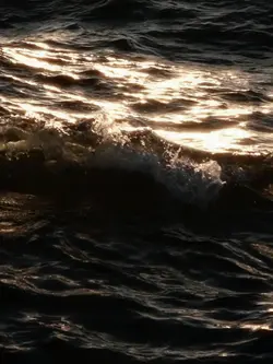wave