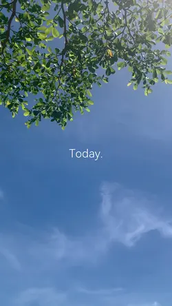 Today vlog
