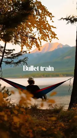 Bullet train 🚄