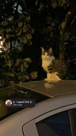 🛎️