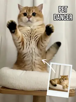 AI Pet Dancer