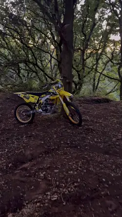 Suzuki Yellowwww