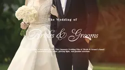 Wedding Story Vlog